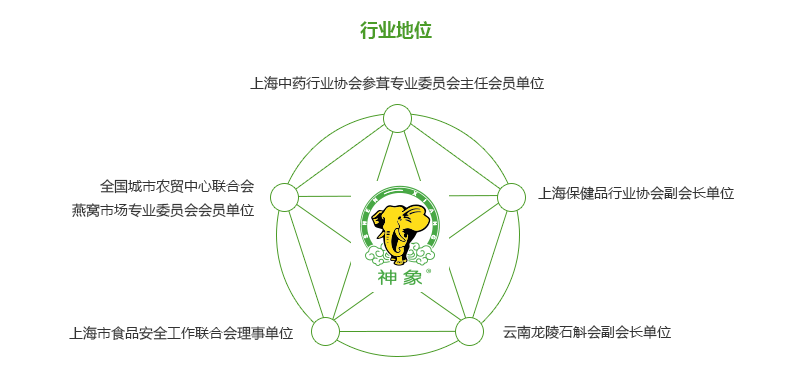 行业地位
