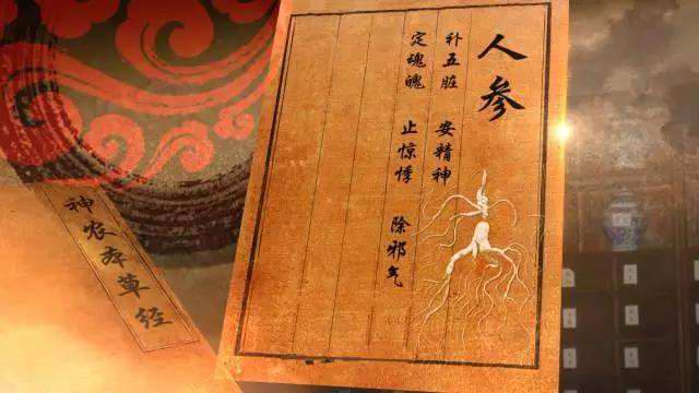 首批野山参鉴定师亮相申城野山参节